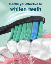 Load image into Gallery viewer, Electric Toothbrush Sonic Toothbrush - One Charge for 180 Days Electric Toothbrush with 6 Replacement Brushes